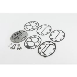 Carrier 06DA660152 Valve Plate Assembly Package