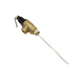 Lochinvar & A.O.Smith 100110738 Temperature And Pressure Relief Valve