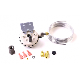 Lochinvar & A.O. Smith 100166246 Pressure Switch Kit