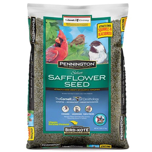 Pennington Select Safflower Bird Seed 5 lb.