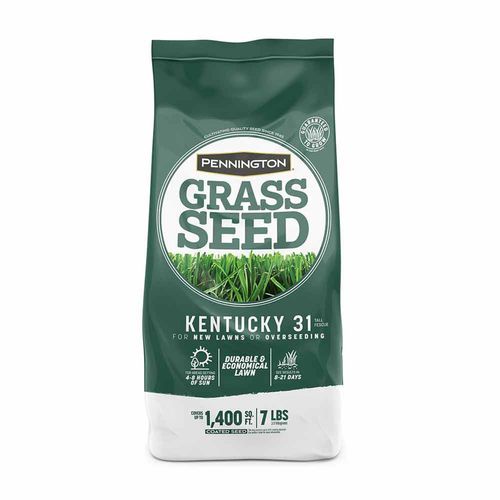Pennington Kentucky 31 Tall Fescue Grass Seed 7 LB