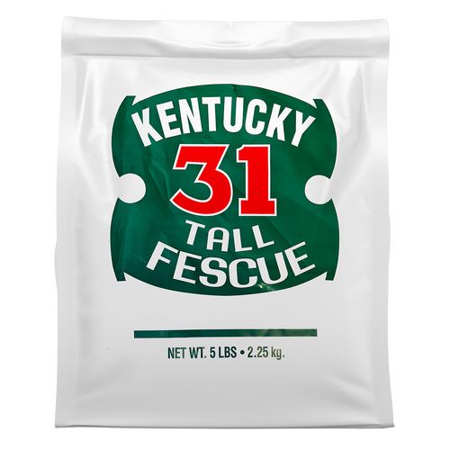 Kentucky 31 Tall Fescue 5 Pound Bag