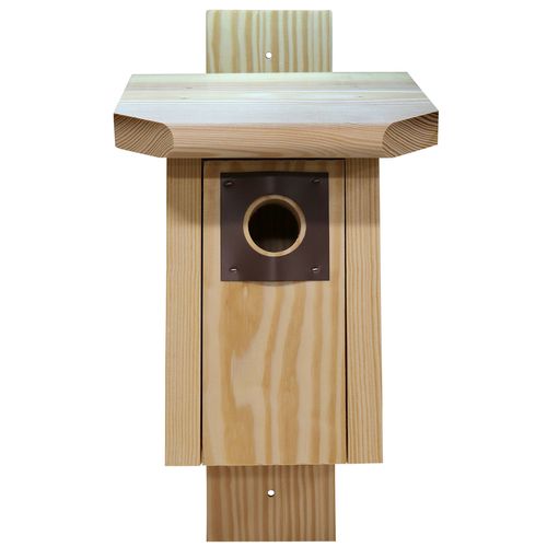 Eastern Bluebird Wood House