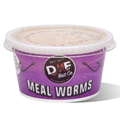 DMF Meal Worms 36 Count