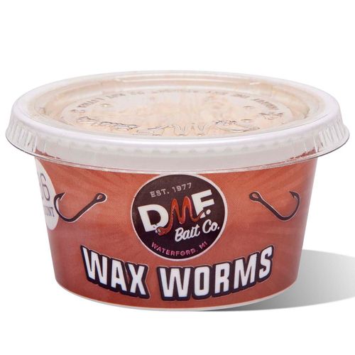 DMF Wax Worms 36 Count