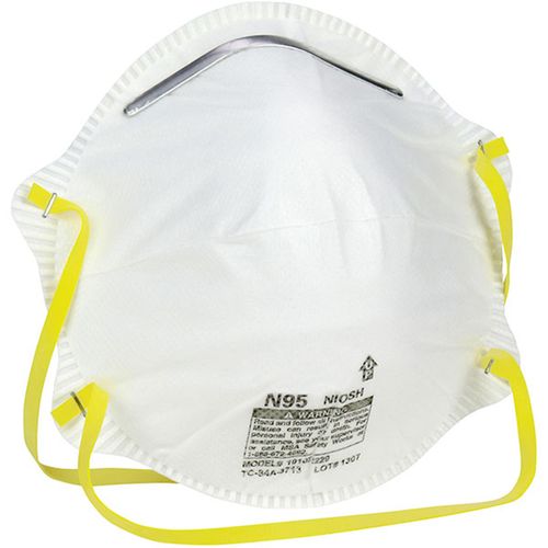 Safety Works N95 Disposable Harmful Dust Respirators (10) Pack
