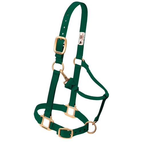 1" Adjustable Chain and Throat Snap Halter, Large Horse, Green