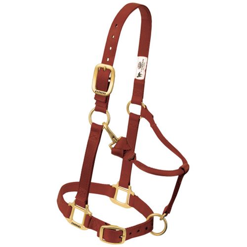 1" Adjustable Chain and Throat Snap Halter, Large Horse, Brown