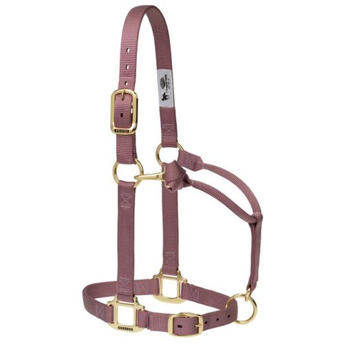 1" Adjustable Chain and Throat Snap Halter, Large Horse, Light Purple