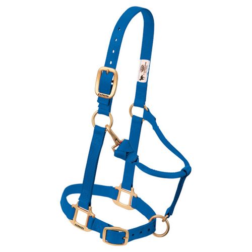 1" Adjustable Chain and Throat Snap Halter, Small Horse, Blue