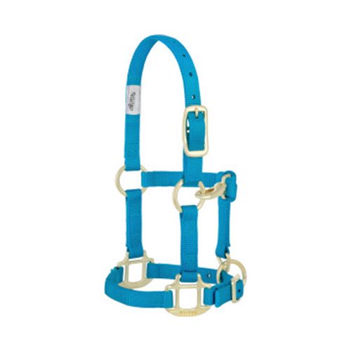 Weaver™ Adjustable Chin and Throat Snap Halter 3/4 Inch Suckling BLU