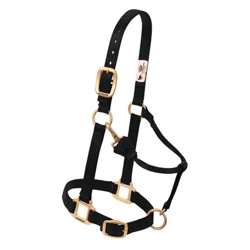 Weaver™ Adj. Chin and Throat Snap Halter 3/4 In. Weaning/Pony BLK