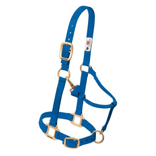 Weaver™ Adj. Chin and Throat Snap Halter 3/4 In. Weaning/Pony BLU