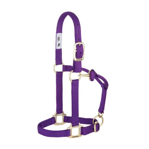 Weaver™ Adj. Chin and Throat Snap Halter 1 In. Small Purple