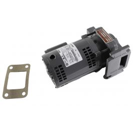Xylem-Hoffman Specialty 180001 Pump & Motor B-Series 115-230V/1-PH