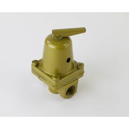 Armstrong Fluid Technology 216942-300 Relief Valve 30 PSI RL-11
