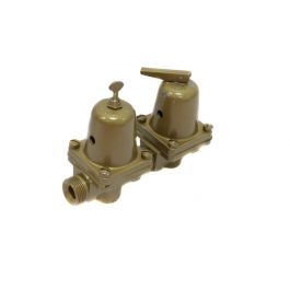 Armstrong Fluid Technology 216945-300 1/2 Inch Relf/ Regulator Dual Comb Valve