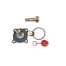 ASCO 304-031 Repair Kit