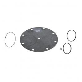 Watts 3302-01 4" Valve Repair Kit ACV-9006-03