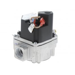 Rheem-Ruud 607010 Gas Valve 300,000BTU 2-Stages 3/4"