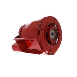 Armstrong Fluid Technology 816141-002 1/3HP Motor Assembly 1725 RPM 115V