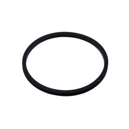 Armstrong Fluid Technology 880200-071 Body Gasket