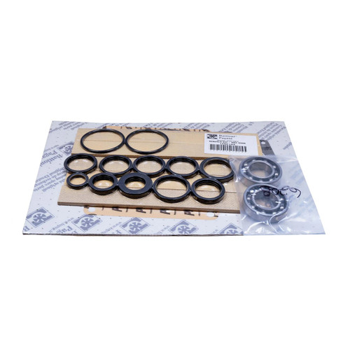 Chandler Equipment Battioni BAT-6010201059 Complete Rebuild Kit - MEC 6500, Type P