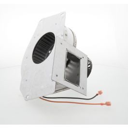 Regal Rexnord - Fasco A217 Draftinducermotor 230V 1Sp