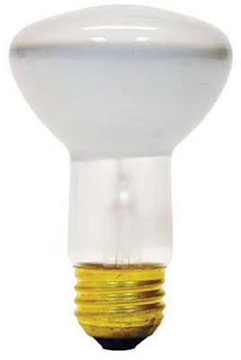 Reflector Flood Light Bulb, 45-Watts
