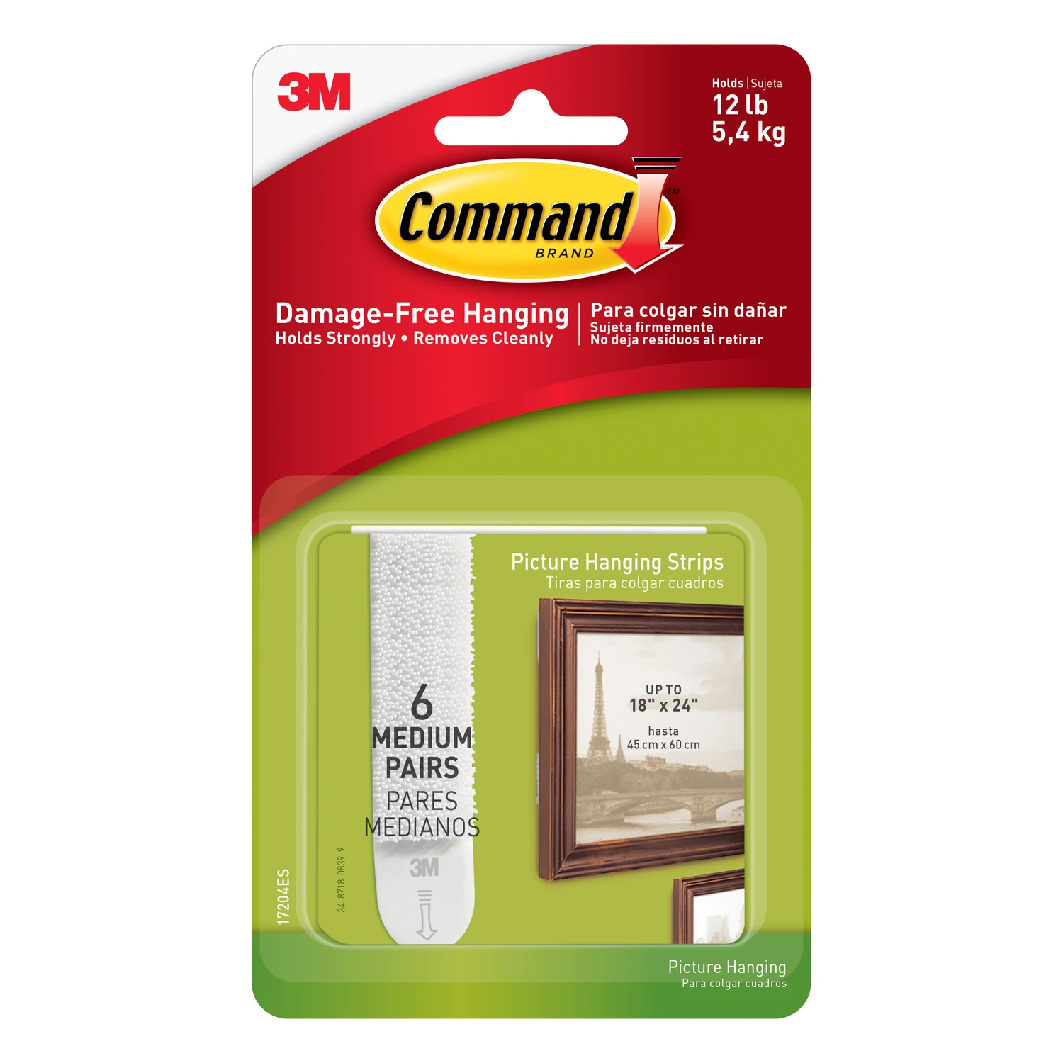 Medium Picture Hanging Strip