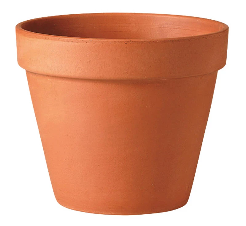 Terra Cotta Clay Pot, Standard, 12-In.