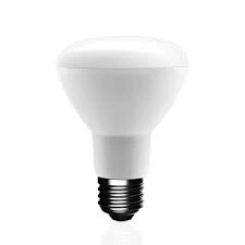 LED Directional Light Bulb, R20, Soft White, Clear Bulb, 525 Lumens, 7 Watt, 2-Pk.