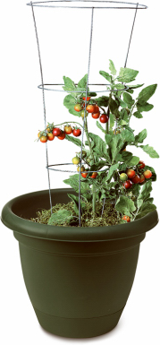 901290b 33 Inch Galvanized Tomato Tower - Set Of 25