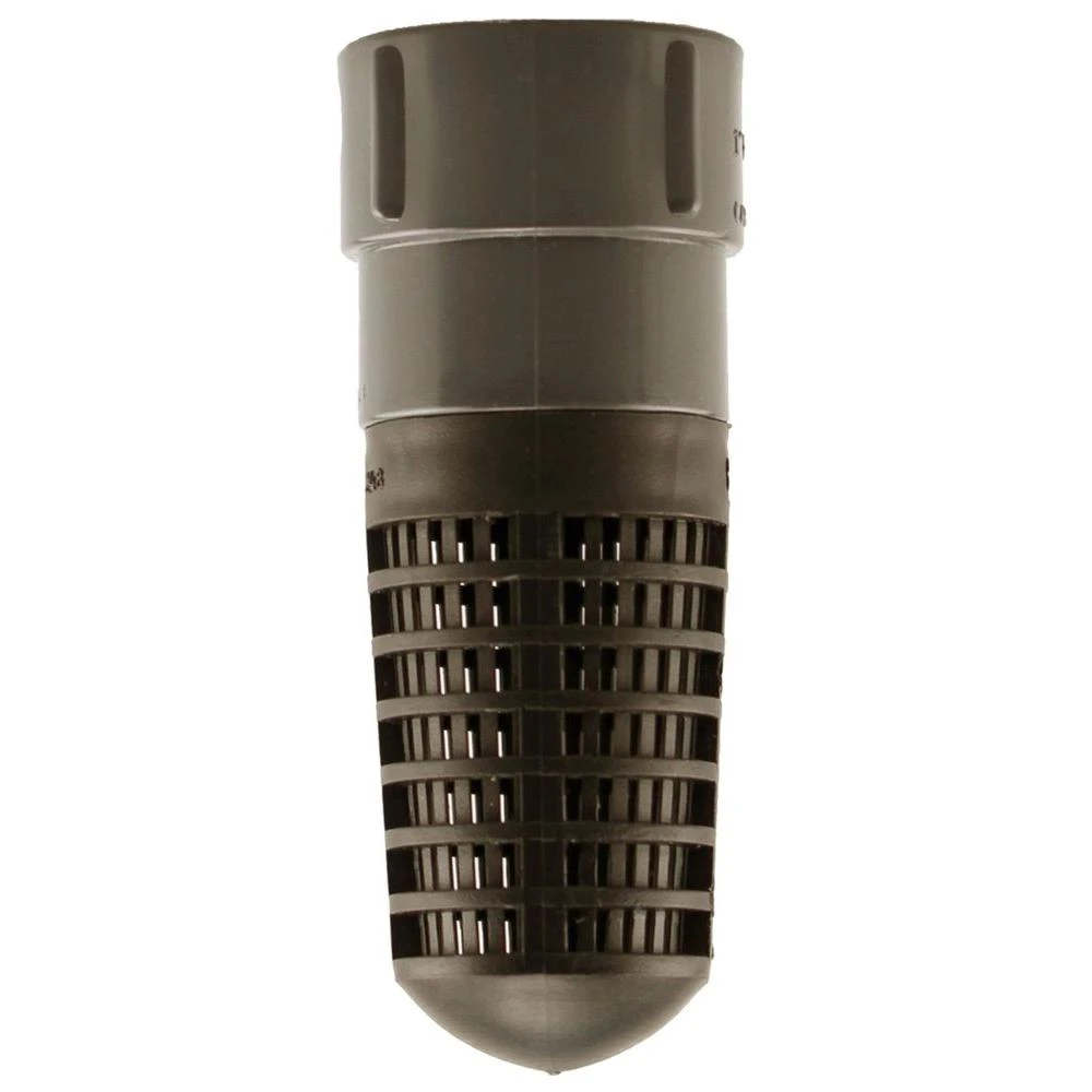 Foot/Check Valve, Plastic, 1 In.