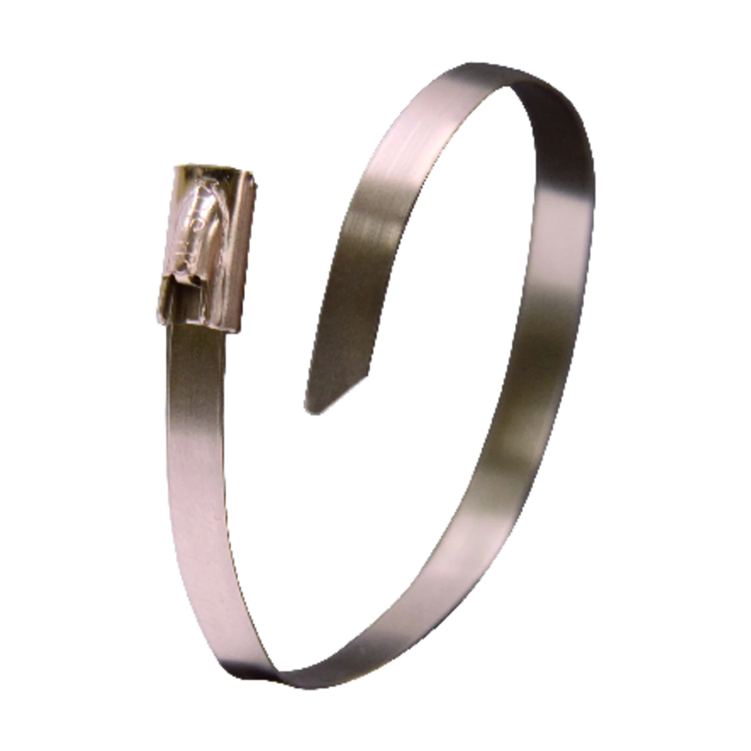 Cable Ties, Stainless Steel, 11-In., 10-Pk.