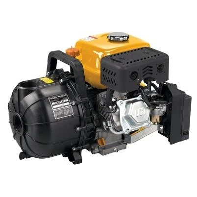 LCT Maxx Series Overhead Valve Gas Engine Pump, 6HP, 22-In.