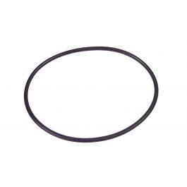 Armstrong Fluid Technology AS1270-250 O-Ring