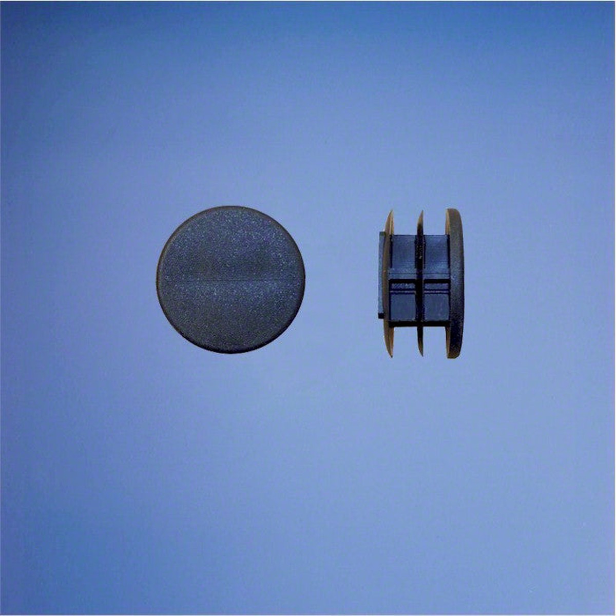 Diving Stand Hand Rail Plug - Each