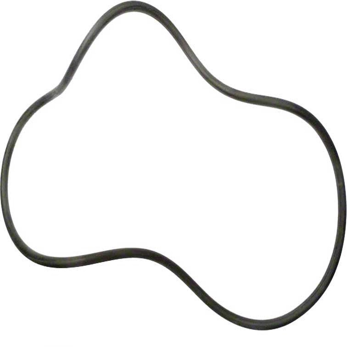 Doughboy Lomart Pump Lid O-Ring