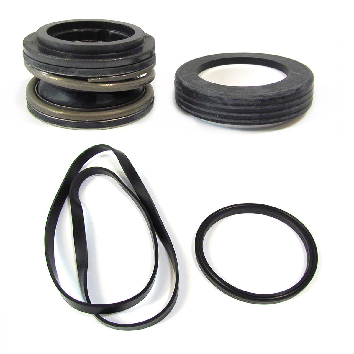 Generic Seal Assembly Kit for SP1600 Pumps