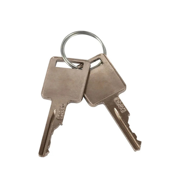JLG Part # GN58322 | GN-KEY,SET(2)IGN, EA