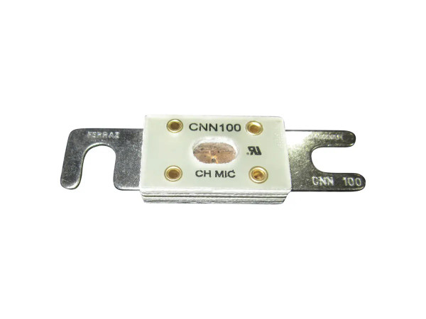 JLG Part # CW340016-100 | CW-FUSE - 100AMP, EA