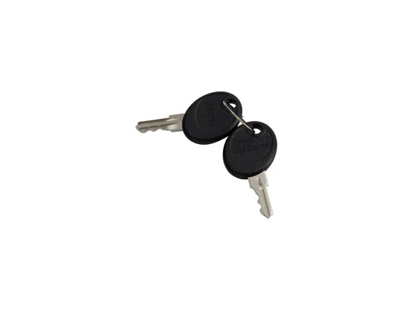 JLG Part # 8342813 | KEYS-SET OF TWO ON ONE RING, EA