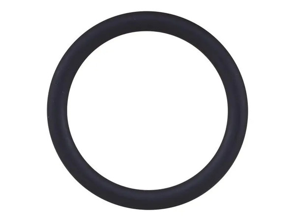 JLG Part # DTZ4132946 | DTZ-SEALING RING, WATER PUMP, EA