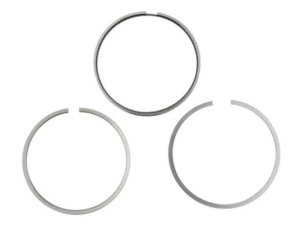 JLG Part # DTZ4156566 | DTZ-SET OF PISTON RINGS, EA