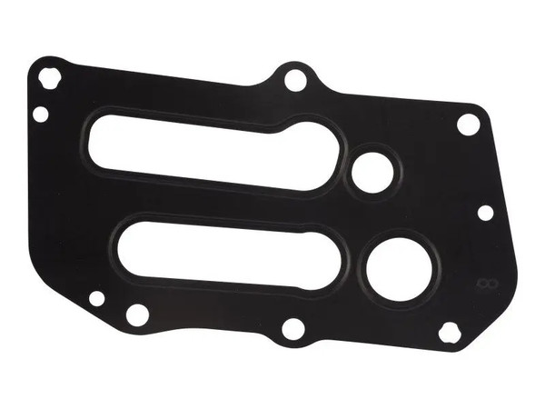JLG Part # DTZ04131591 | DTZ-Gasket, EA