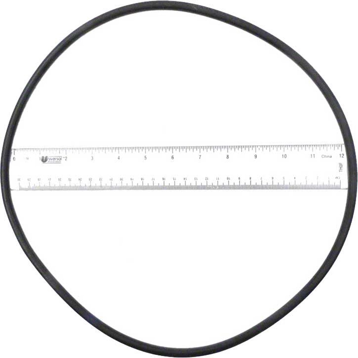 Starite Tank Gasket