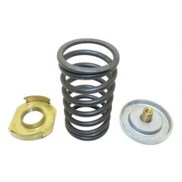 Johnson Controls V-3752-6024 Spring Kit 3-6 PSI 3/8" Stroke