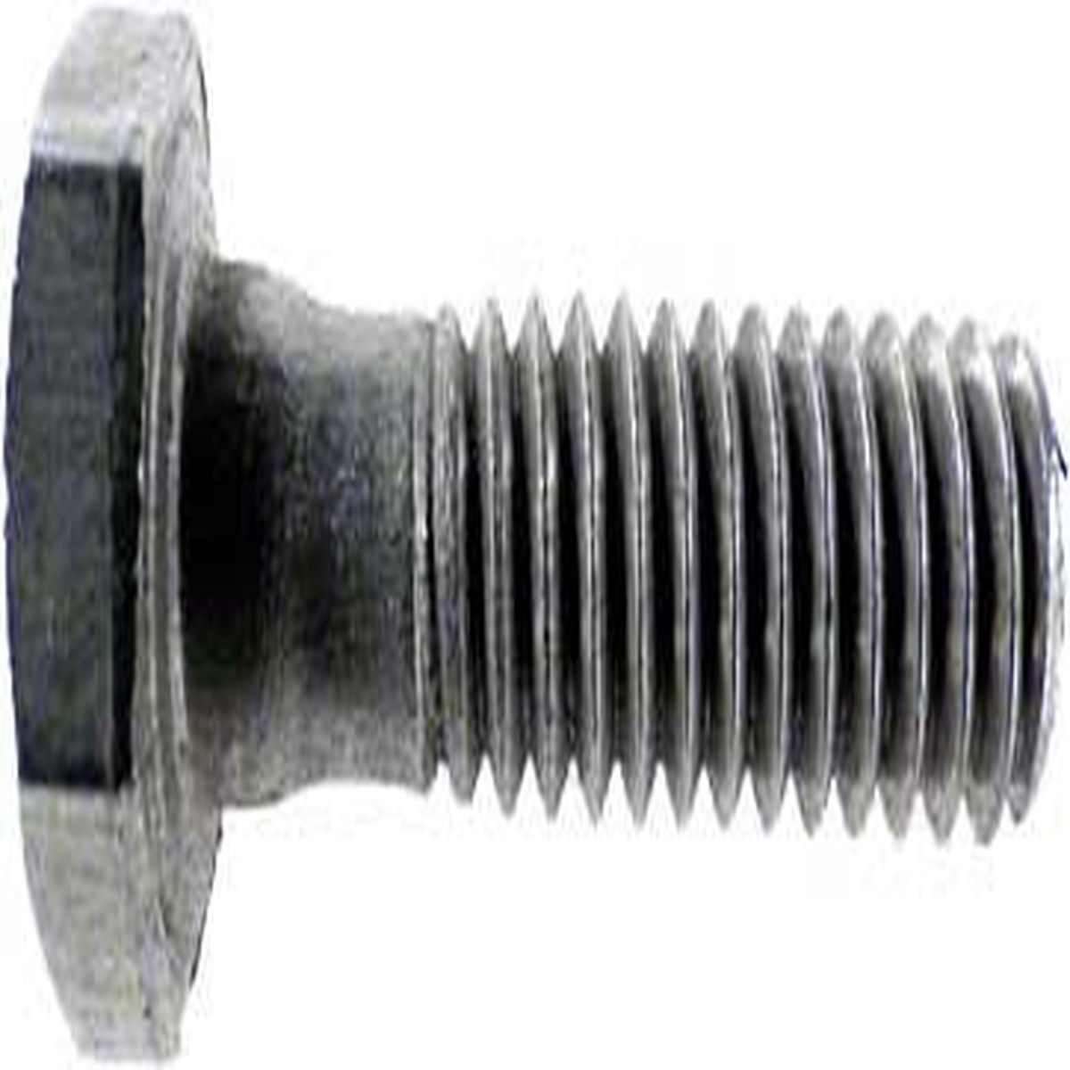 WhisperFlo/IntelliFlo Screw - #1/4-20 x 1 Inch Hex Head